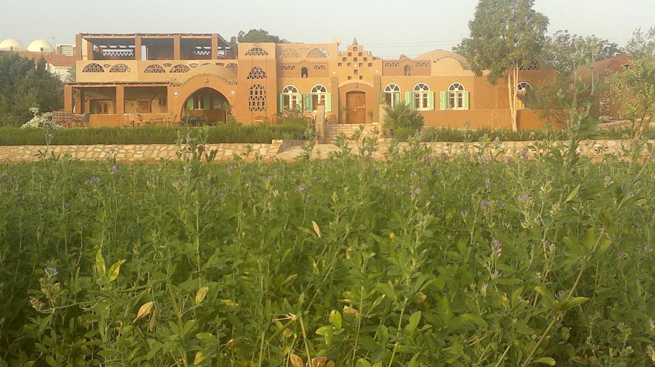 Eskaleh Eco-Lodge Абу Симбел Екстериор снимка